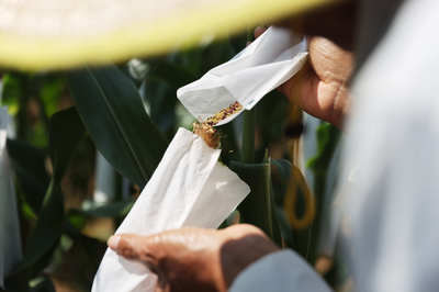 聚焦種業“破卡”，2021中國種子大會引領種業振興新篇章